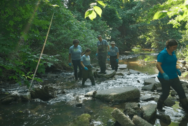 SCDES employee sampling water during an Adopt-A-Stream test, part of a South Carolina government video produced by Lunch and Recess.